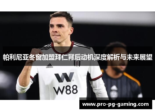 帕利尼亚冬窗加盟拜仁背后动机深度解析与未来展望